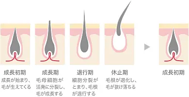 説明図