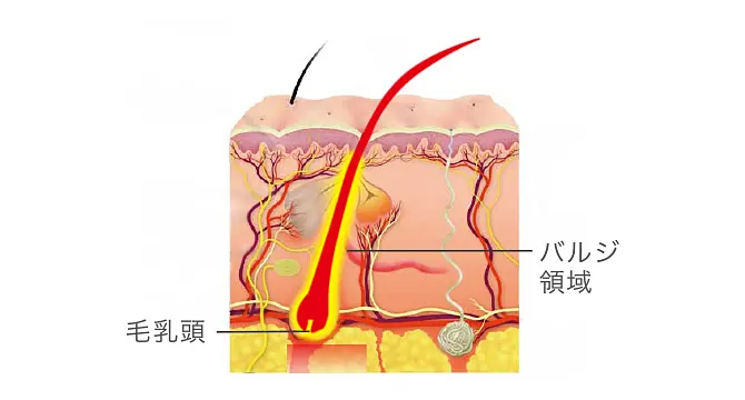 イメージ写真